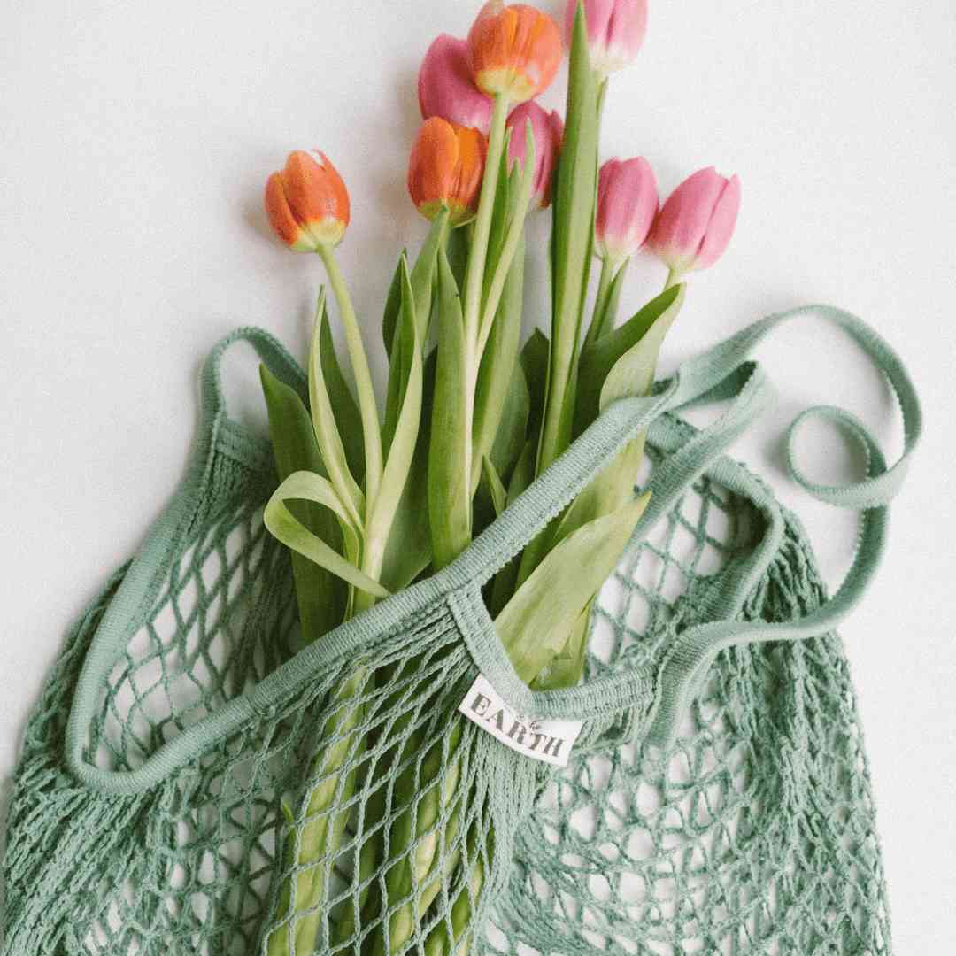 Us and The Earth Reusable Cotton Net Shopping Bag